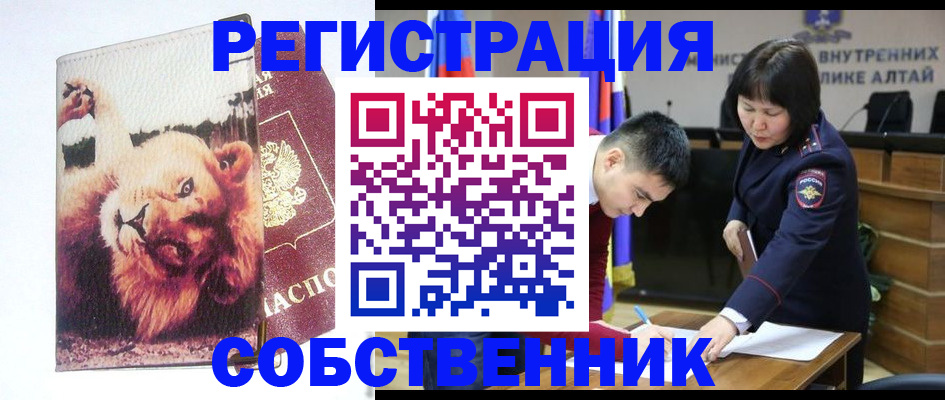 временная регистрация купить в Красноярске